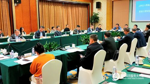 携手云阳，数据赋能 重庆科技服务大市场助力大数据产业招商新篇章